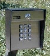 Entry Keypad with Gooseneck