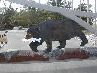 close up of the bear, fish and authentic rocks